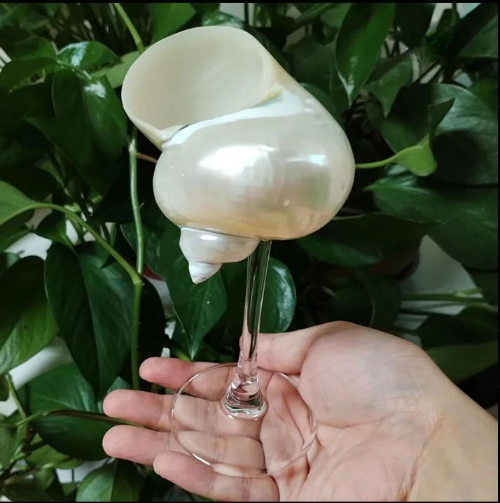 Natural Conch Shell Wine Glass Cup Handmade Wedding Glasses Martini Glasses Goblet Cocktail Drinkware Drinking Stemware Gifts