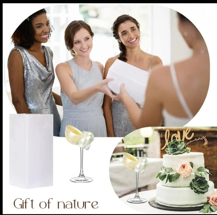 Natural Conch Shell Wine Glass Cup Handmade Wedding Glasses Martini Glasses Goblet Cocktail Drinkware Drinking Stemware Gifts